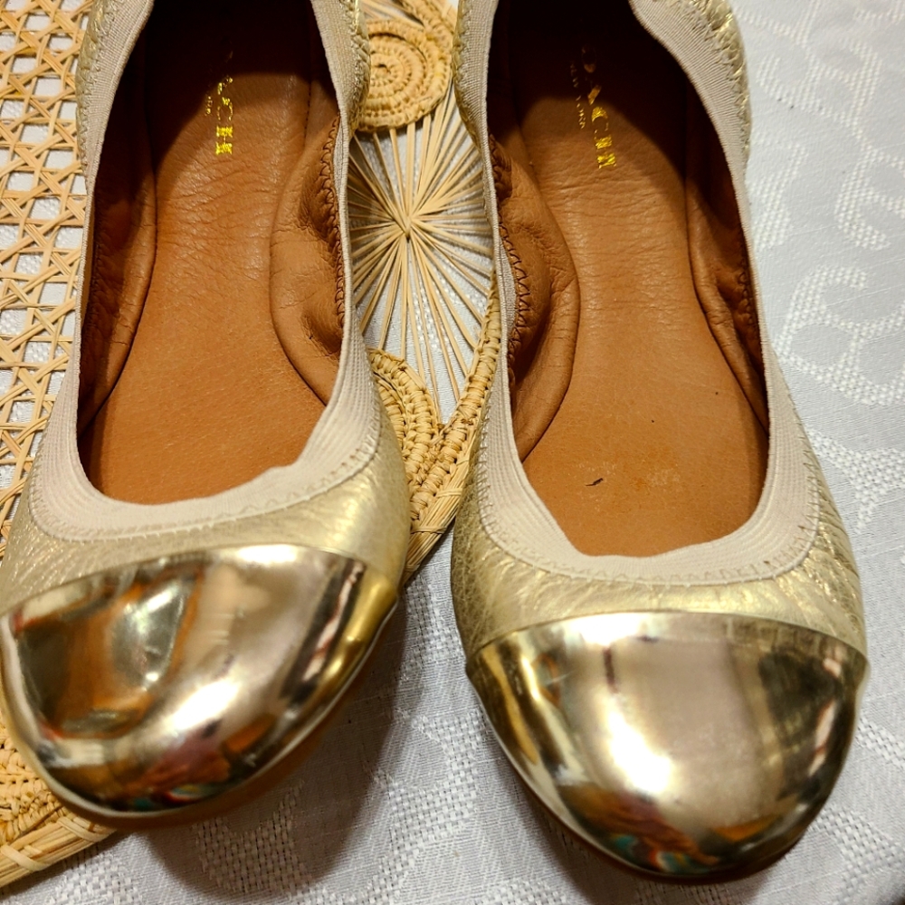 Coach fold up flats